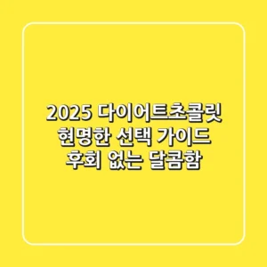 2025 다이어트초콜릿, 현명한 선택 가이드: 후회 없는 달콤함