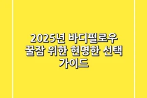 2025년 바디필로우: 꿀잠 위한 현명한 선택 가이드