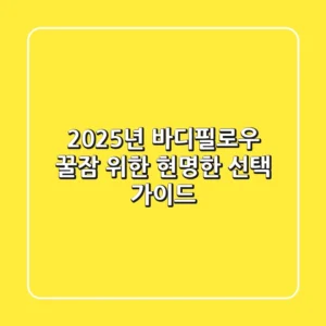 2025년 바디필로우: 꿀잠 위한 현명한 선택 가이드