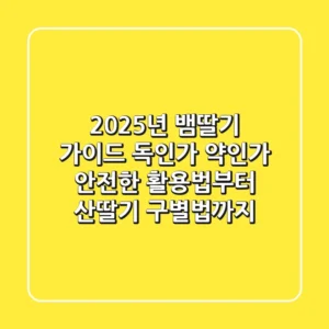 2025년 뱀딸기 가이드: 독인가 약인가? 안전한 활용법부터 산딸기 구별법까지