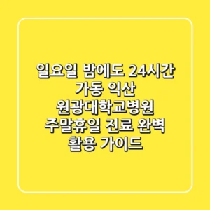 "일요일 밤에도 24시간 가동", 익산 원광대학교병원 주말·휴일 진료 완벽 활용 가이드