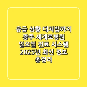 "응급 상황 대처법까지", 광주 세계로병원 일요일 진료 시스템 2025년 최신 정보 총정리
