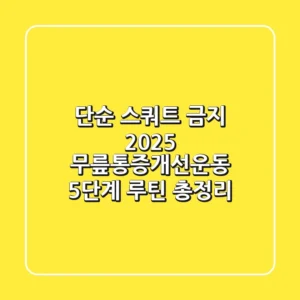 "단순 스쿼트 금지", 2025 무릎통증개선운동 5단계 루틴 총정리