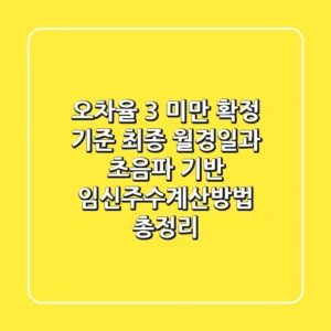 "오차율 3% 미만 확정 기준", 최종 월경일과 초음파 기반 임신주수계산방법 총정리