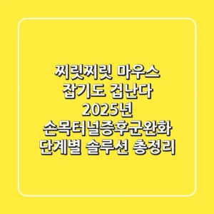 "찌릿찌릿 마우스 잡기도 겁난다", 2025년 손목터널증후군완화 단계별 솔루션 총정리