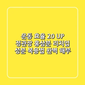 "운동 효율 20% UP?", 정관장 홍삼분 리치업 성분, 복용법 완벽 해부