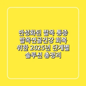 만성화된 발목 통증, '발목연골건강' 회복 위한 2025년 단계별 솔루션 총정리
