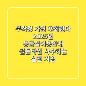 "무작정 가면 후회한다", 2025년 응급실이용안내, 골든타임 사수하는 실전 지침