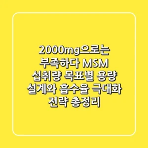 "2,000mg으로는 부족하다?", MSM 섭취량, 목표별 용량 설계와 흡수율 극대화 전략 총정리