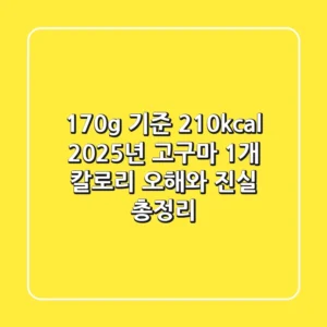"170g 기준 210kcal?", 2025년 고구마 1개 칼로리 오해와 진실 총정리