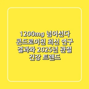 "1200mg 넘어선다", 콘드로이친 최신 연구 결과와 2025년 관절 건강 트렌드