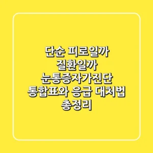 "단순 피로일까, 질환일까?", 눈통증자가진단 통합표와 응급 대처법 총정리